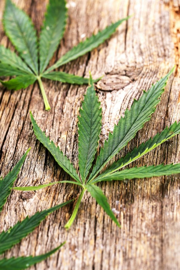 Traiter l'addiction au cannabis : stratégies efficaces à découvrir