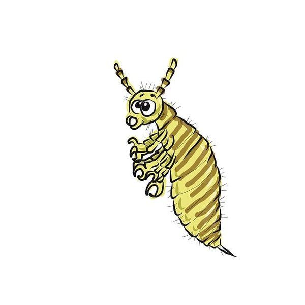 Produits poux : la solution bio pour un avenir sans démangeaisons !